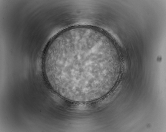 X0000102811266200809150944