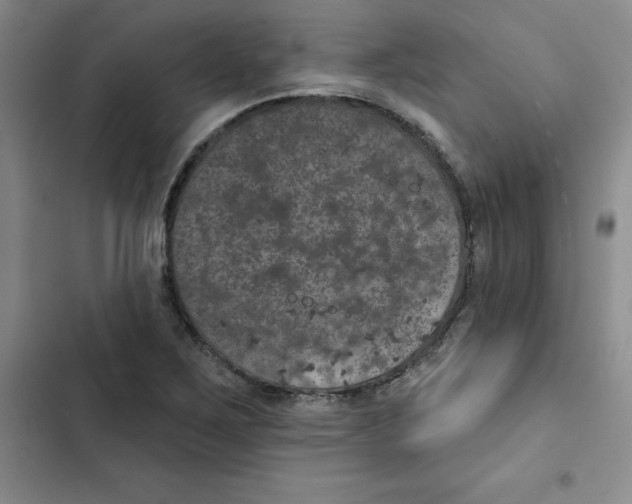 X0000102811267200809150944