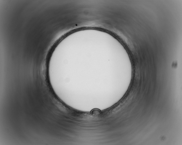 X0000102811270200809150944