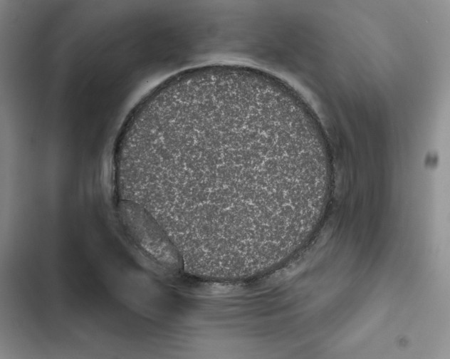 X0000102811271200809150944