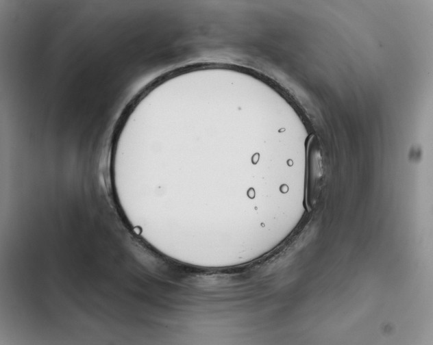 X0000102811272200809150944