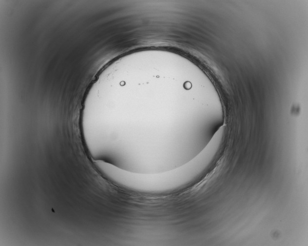 X0000102811273200809150944