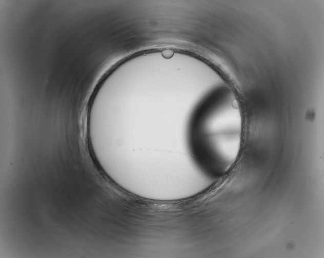 X0000102811275200809150943