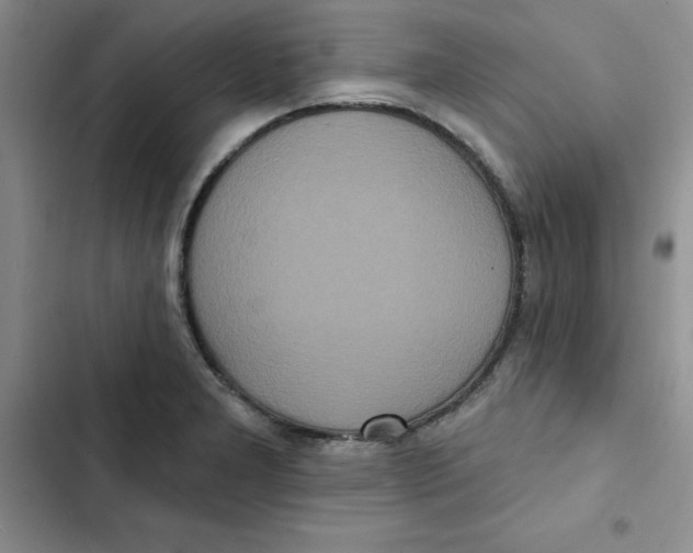 X0000102811277200809150943