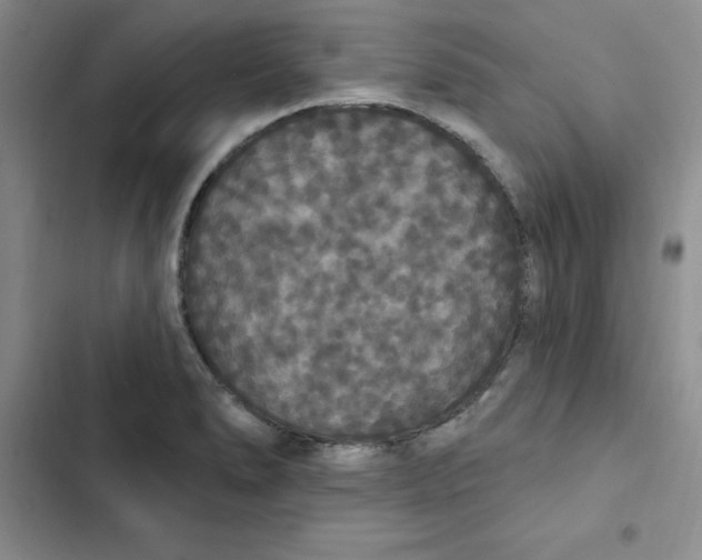 X0000102811278200809150943