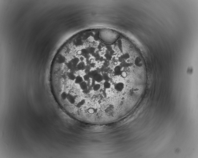 X0000102811279200809150943