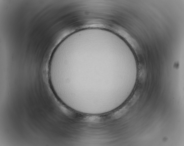 X0000102811282200809150943