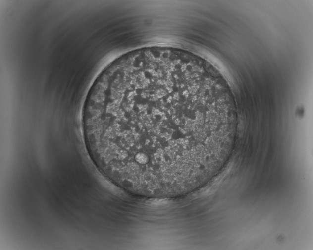 X0000102811283200809150943