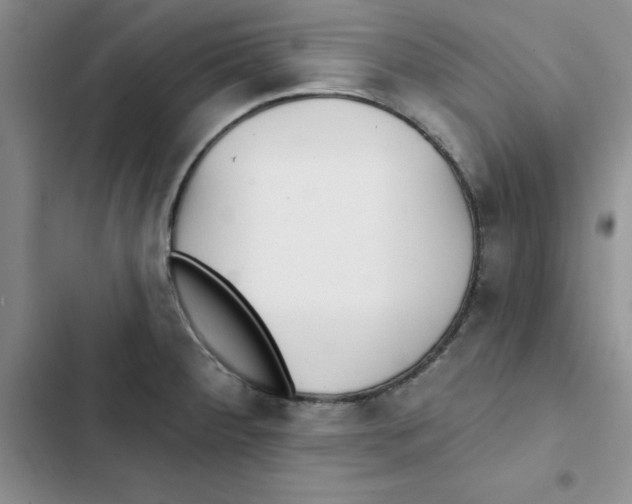 X0000102811284200809150943