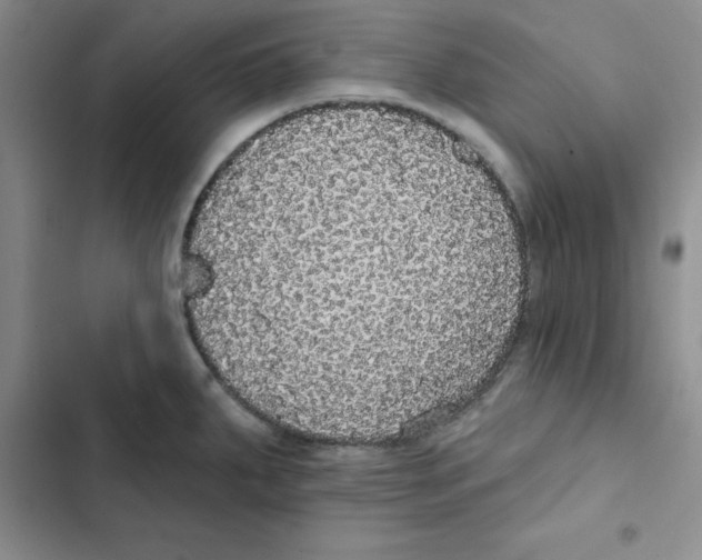 X0000102811287200809150943