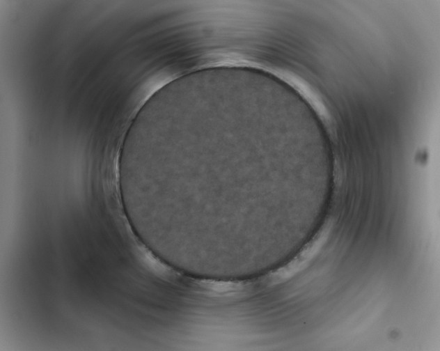 X0000102811289200809150943