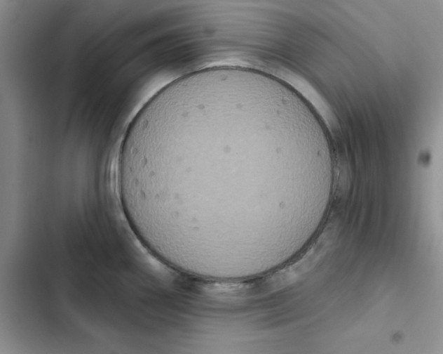 X0000102811290200809150943