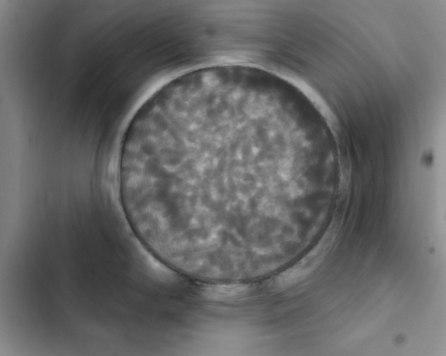 X0000102811294200809150943