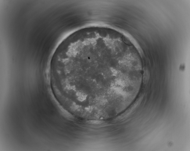 X0000102811295200809150943