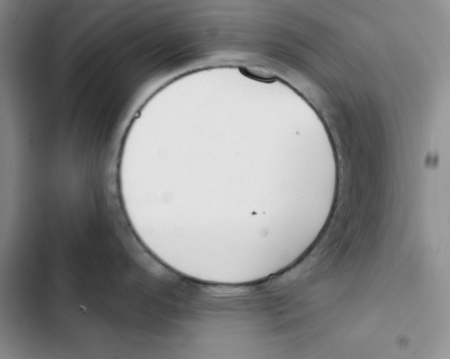 X0000102811296200809150943