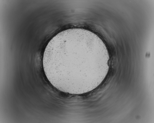 X0000102811298200809150942