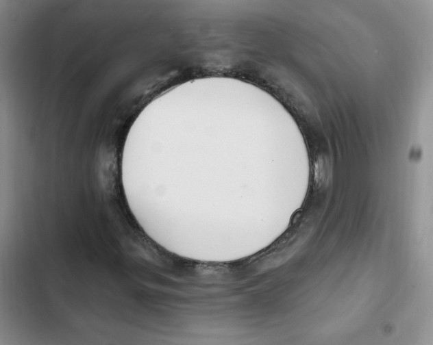 X0000102811299200809150942