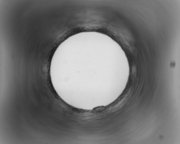 X0000102811300200809150942