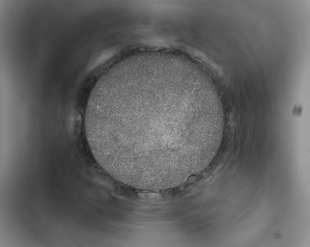 X0000102811302200809150942