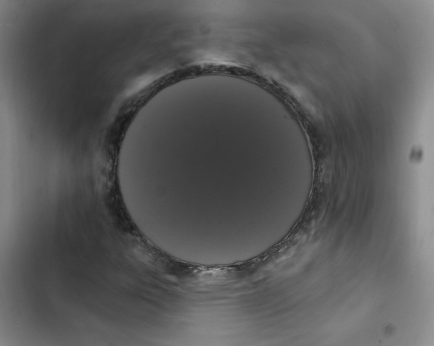 X0000102811303200809150942