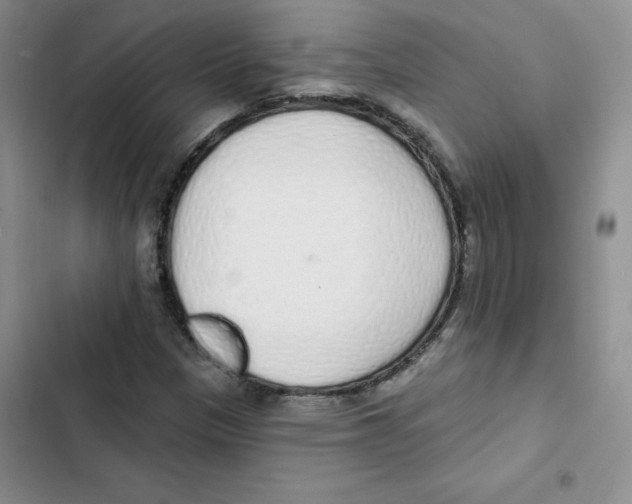 X0000102811305200809150942