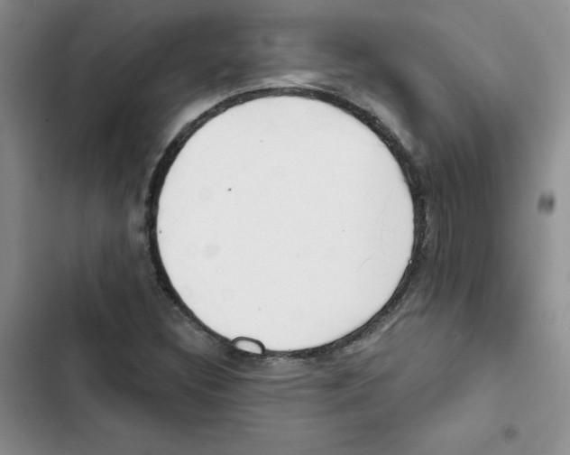 X0000102811308200809150943