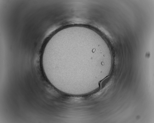 X0000102811309200809150943