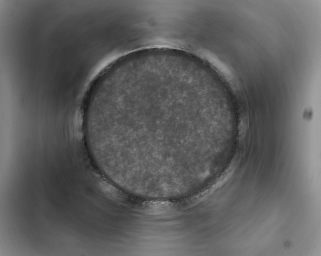 X0000102811310200809150943