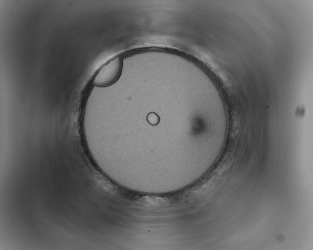 X0000102811312200809150943