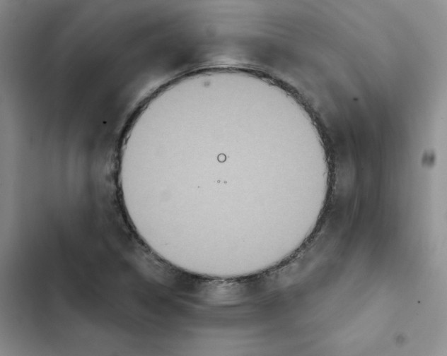 X0000102811314200809150943