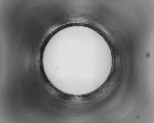 X0000102811315200809150943