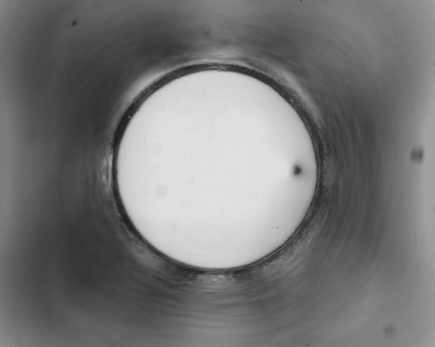 X0000102811320200809150943