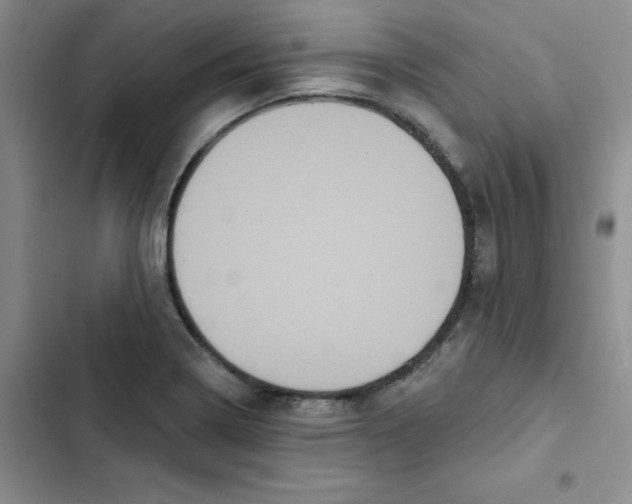 X0000102811322200809150943