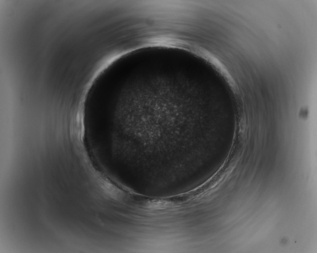 X0000102811323200809150943