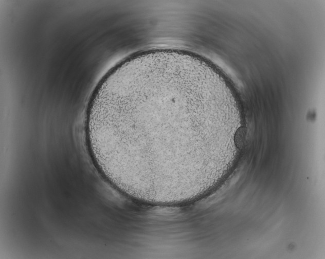 X0000102811325200809150943