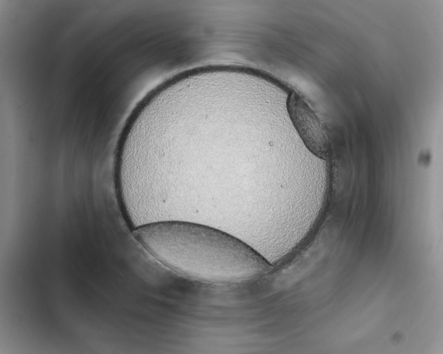 X0000102811326200809150943