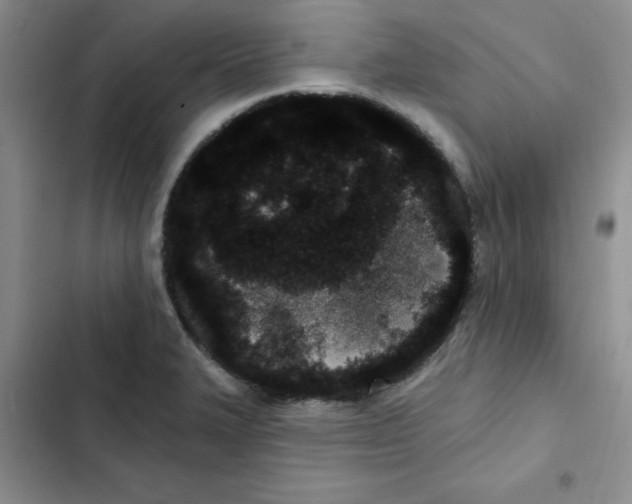 X0000102811327200809150943