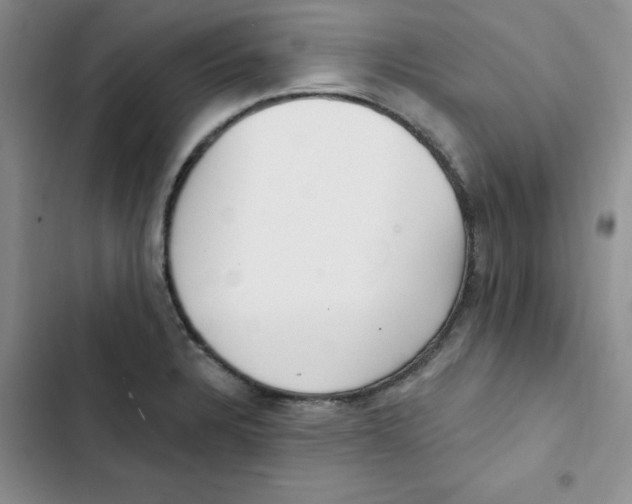 X0000102811328200809150943