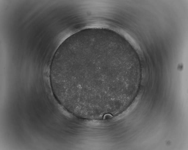 X0000102811329200809150943