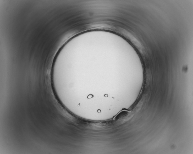 X0000102811330200809150943