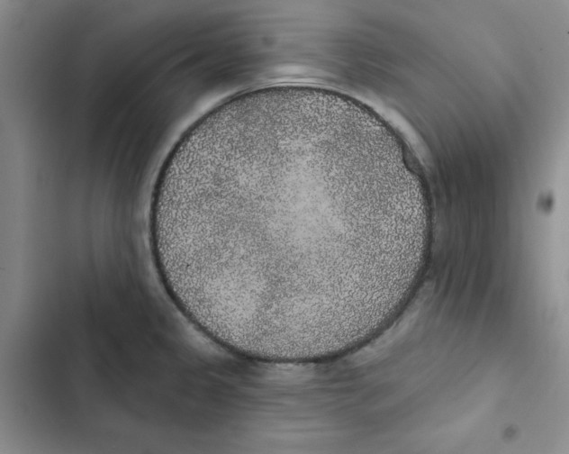 X0000102811333200809150943