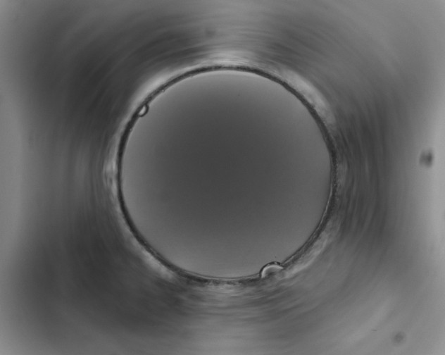 X0000102811334200809150943