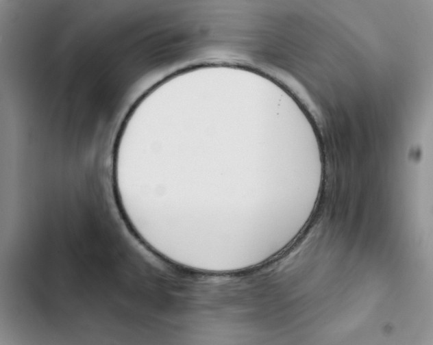 X0000102811335200809150943