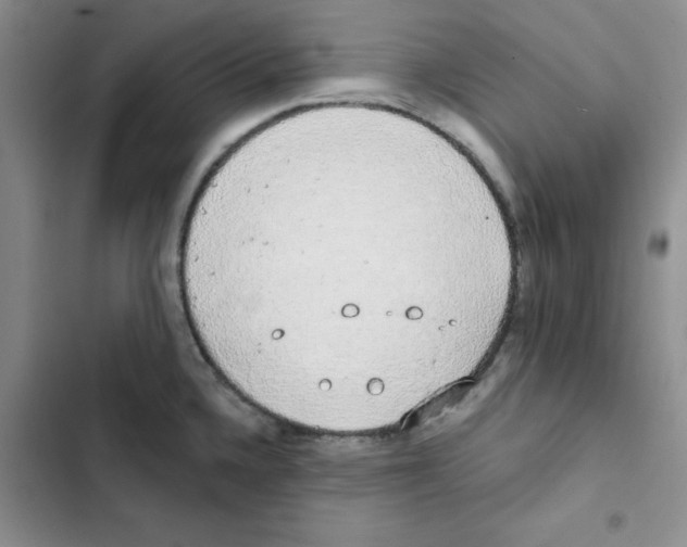 X0000102811336200809150943