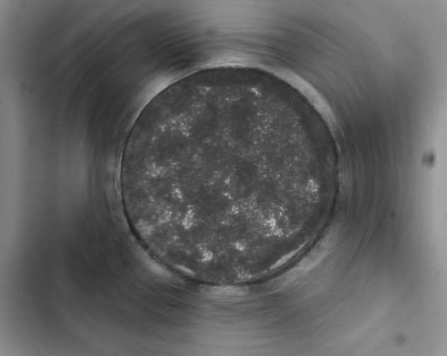 X0000102811337200809150943