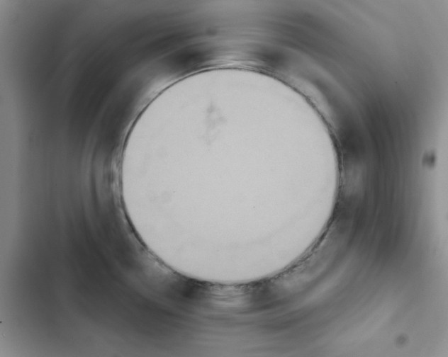 X0000102811338200809150943