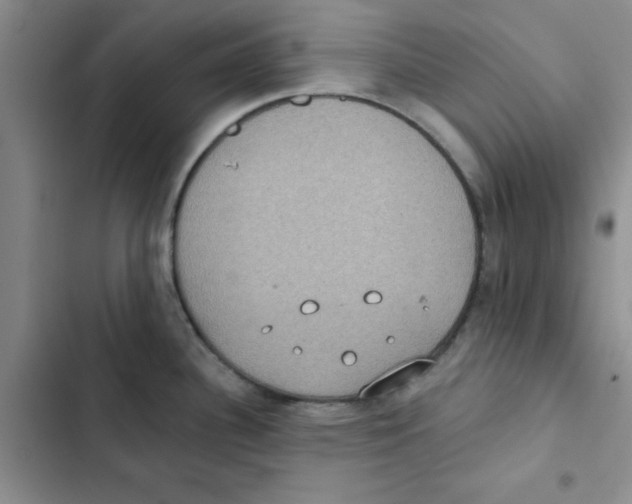 X0000102811340200809150943