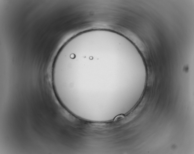 X0000102811342200809150943