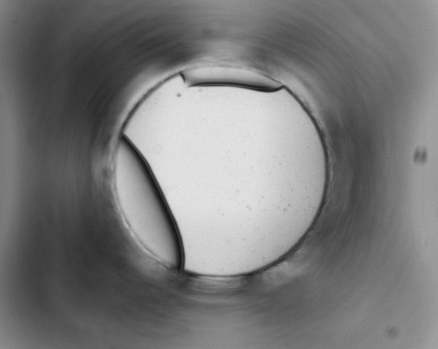 X0000102811344200809150943