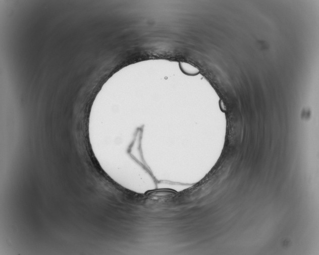 X0000102811345200809150942